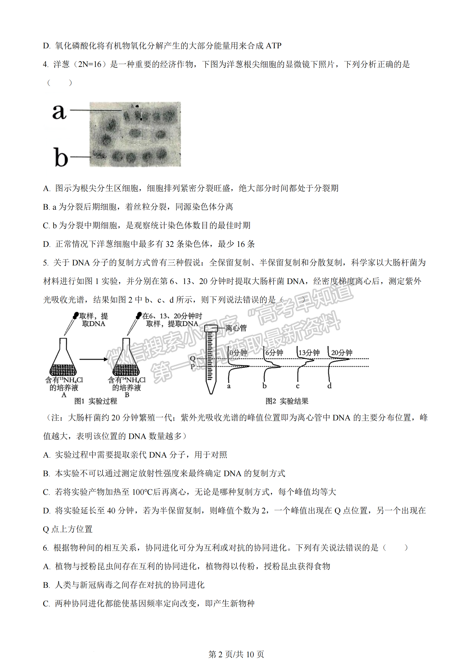 2024届湖南省长沙一中高三月考（五）生物试题及答案